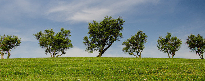 Relationship-Based Selling Reimagined