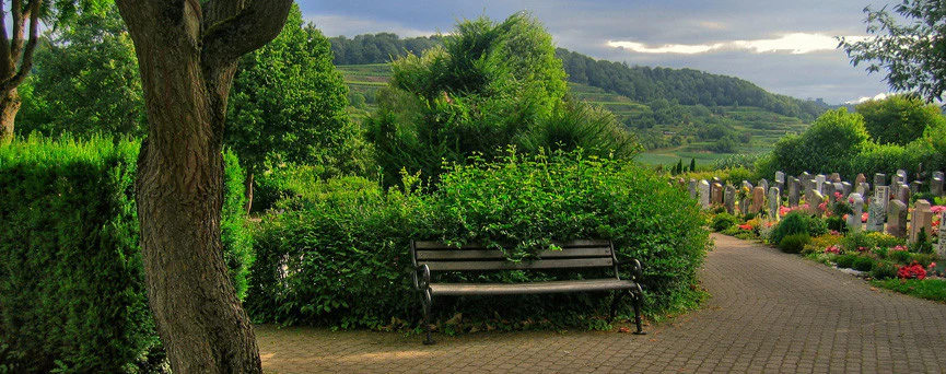 How To Win In The Modern Funeral Industry